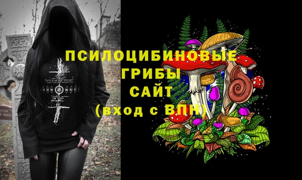 скорость Ветлуга