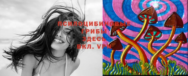круглые Новокубанск