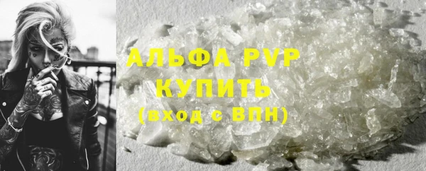 прущие крисы Весьегонск