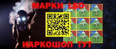 шишки Камышлов