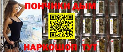 шишки Камышлов