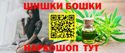 шишки Камышлов