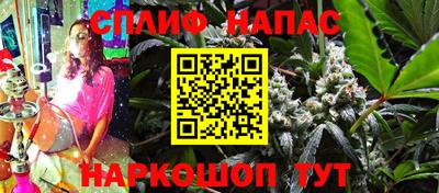 шишки Камышлов