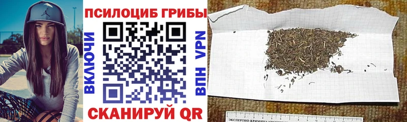 Псилоцибиновые грибы прущие грибы Черногорск
