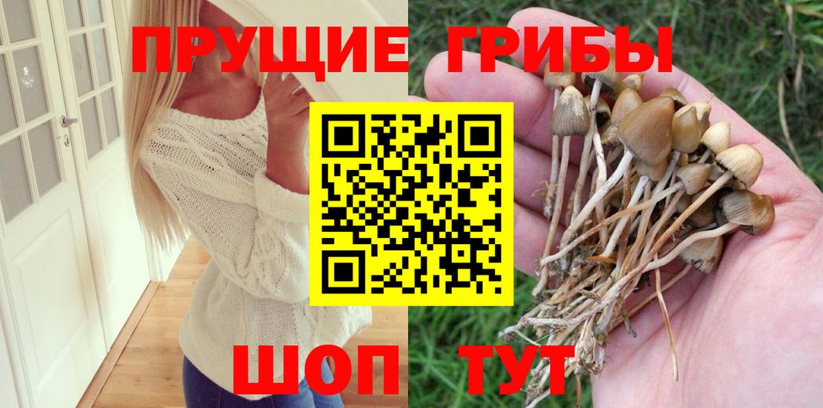 Псилоцибиновые грибы GOLDEN TEACHER  Черногорск 