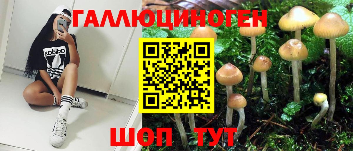 Галлюциногенные грибы прущие грибы Черногорск