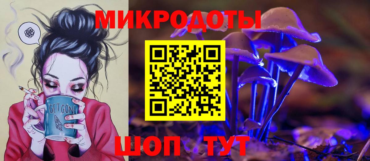 Черногорск  Псилоцибиновые грибы Magic Shrooms  Вход с VPN  Псилоцибиновые грибы Psilocybine cubensis 